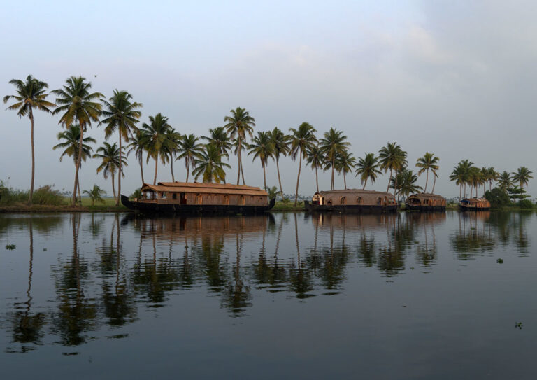 Image of Monsoon in Alleppey